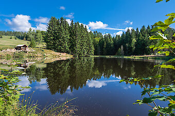Familienurlaub im Bayerischen Wald